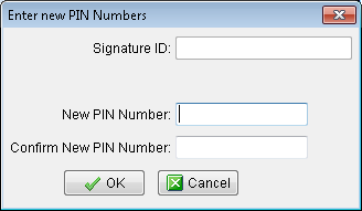 a screencap of the New PIN UI